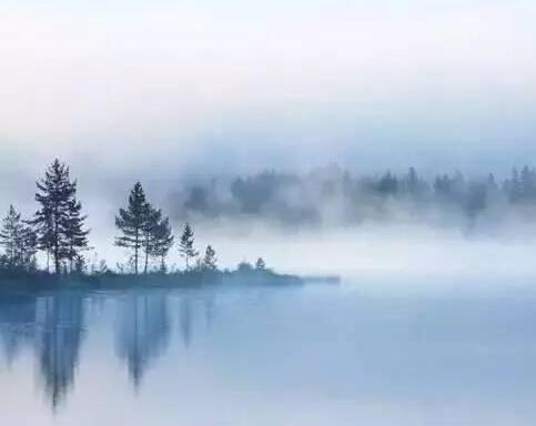 �����Ϲ�����Ϊ����÷��Ҷ��С�����Ա���Ƭ