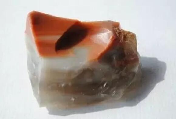 �ձ����ഺУ԰�������¼���,�����ĵ������¼���