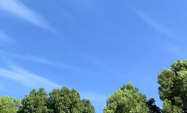 ����һ������˿ͻѳ���ը������,�ɻ������¹���ô�죿