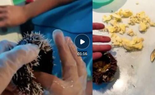 �οͱ����ǳԺ�������û��������в,�ٷ���Ӧ��