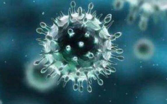 山东日照一家4人核酸呈阳性