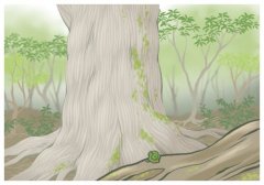 �����۵Ľ�ճ��������ôϴ��?�����۹�Ч����