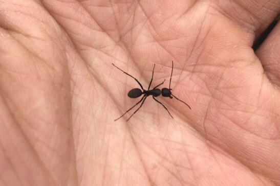 ���ϵ������ʲô����