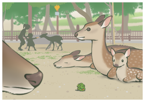 �к�����ץ��δ��������Ȯ������