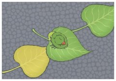 �����������޷��Ҹ�,��������57�������޷��Ҹ�