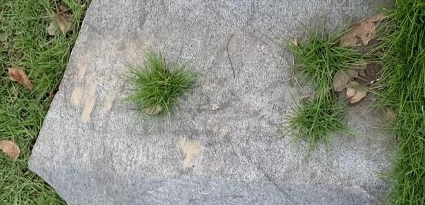 �������ϰ�������Ⱦˢ��